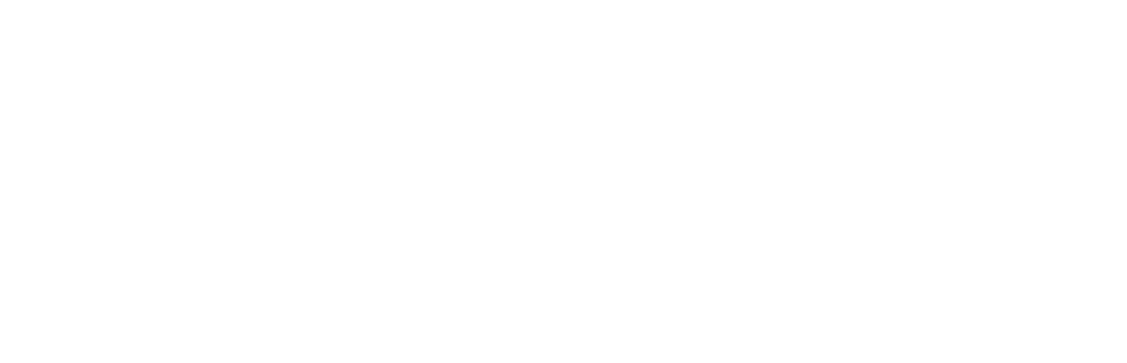 Professional Development Institute